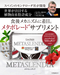 メタスレンディア_SNS_02